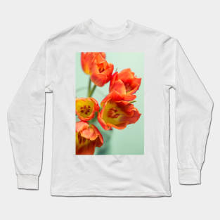 Printemps Long Sleeve T-Shirt